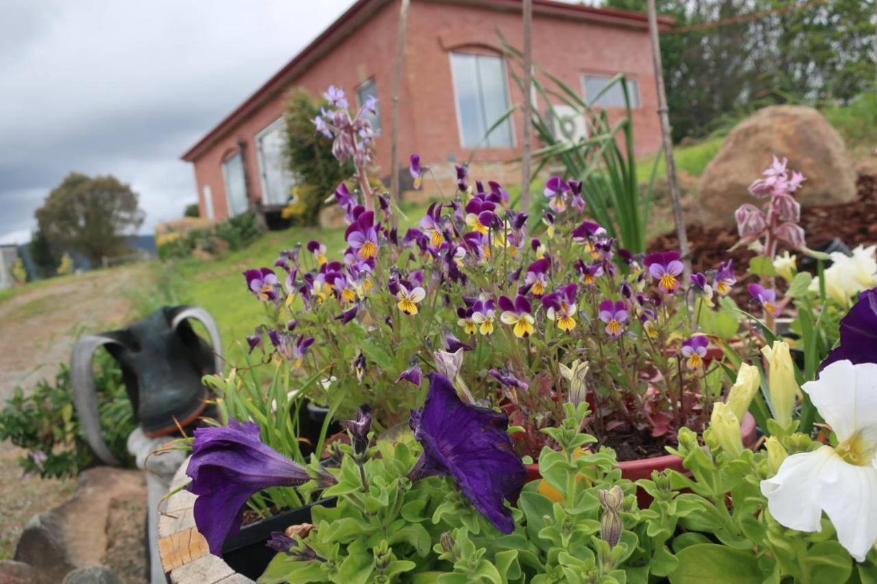Cherry Top Farmstay - Boutique Eco Village Lilydale Zewnętrze zdjęcie