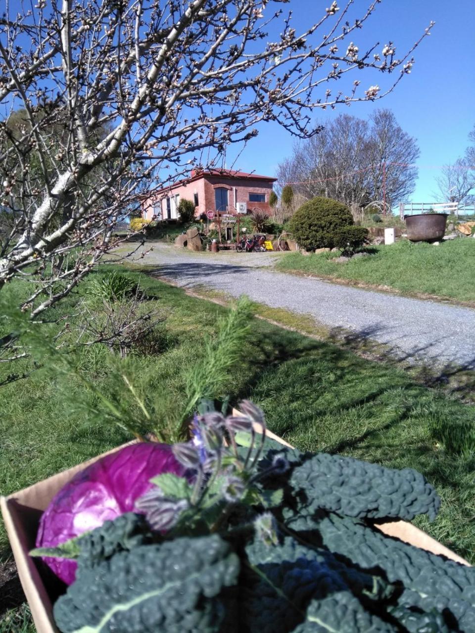 Cherry Top Farmstay - Boutique Eco Village Lilydale Zewnętrze zdjęcie