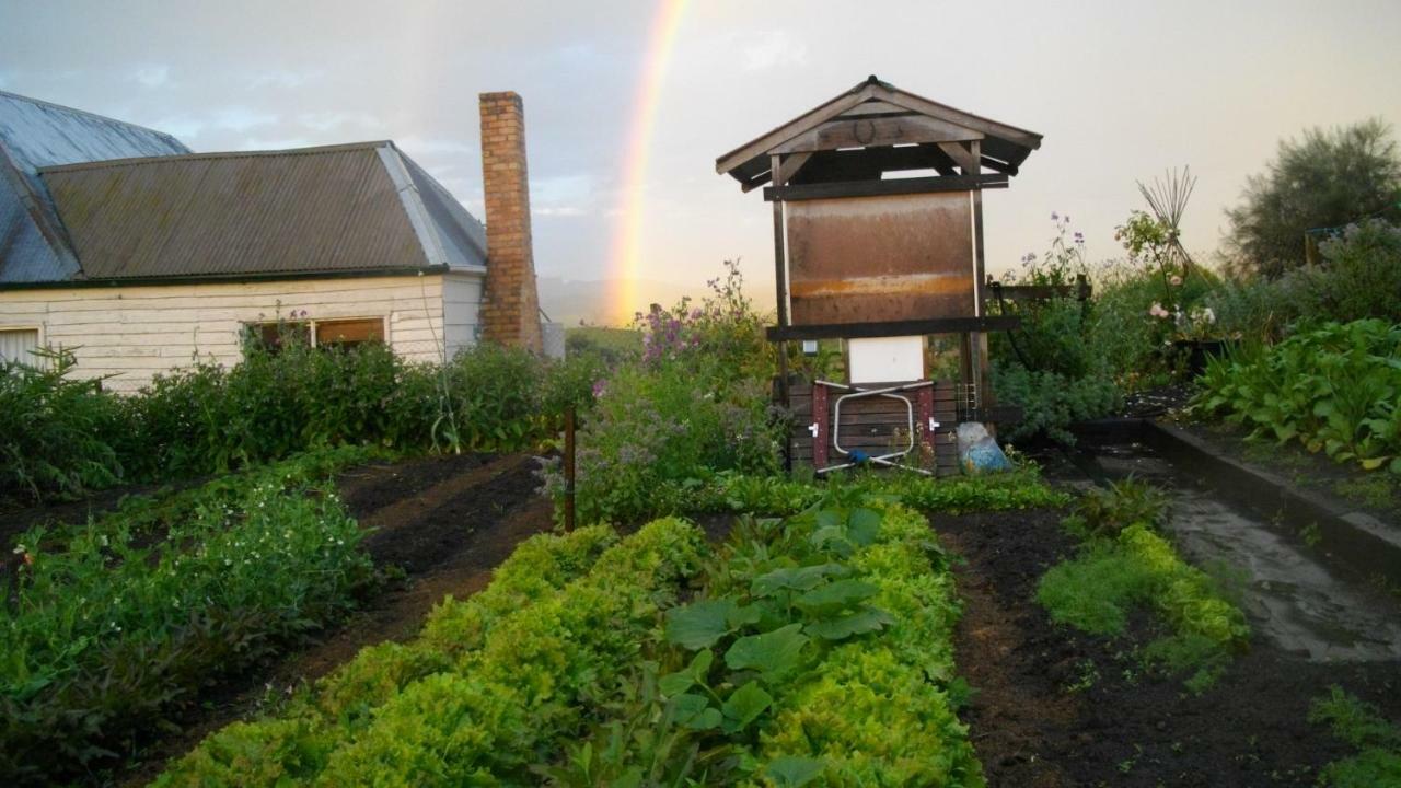 Cherry Top Farmstay - Boutique Eco Village Lilydale Zewnętrze zdjęcie